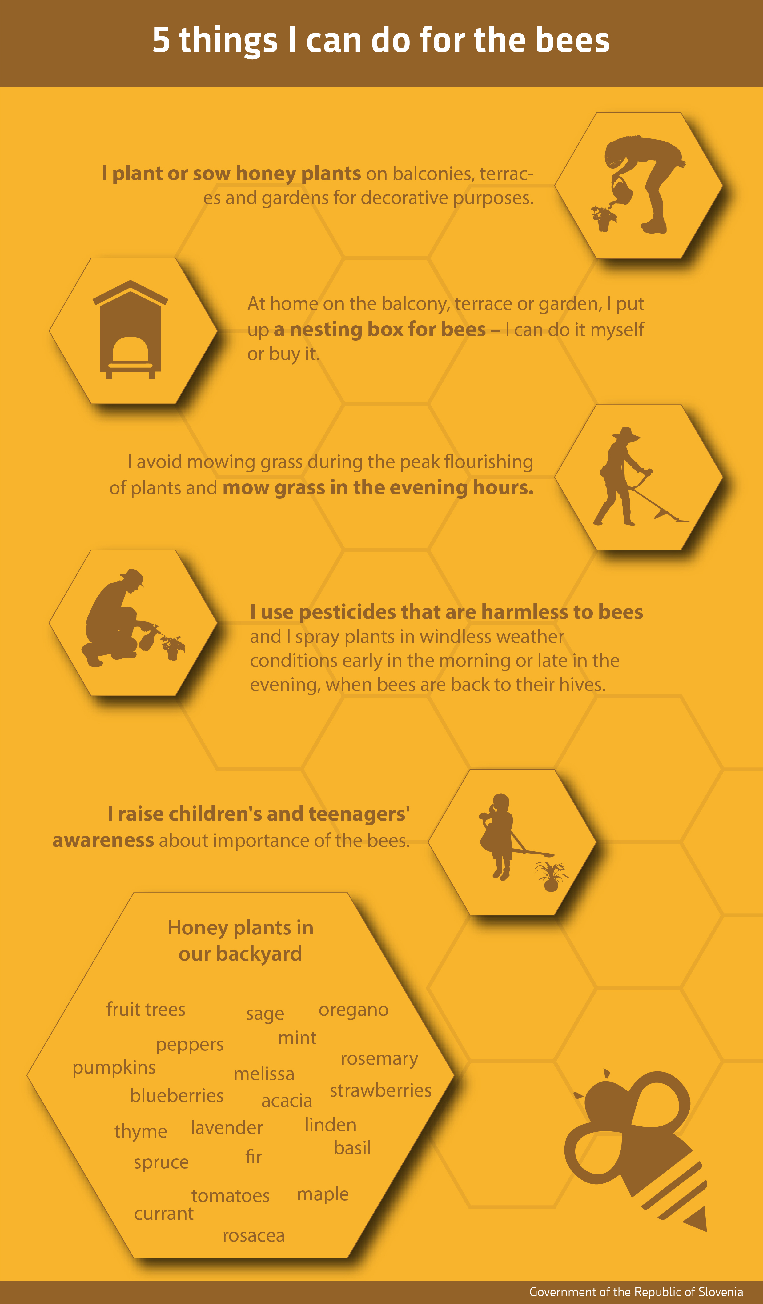 Toolkit Celebrate World Bee Day Toolkit Celebrate World Bee Day