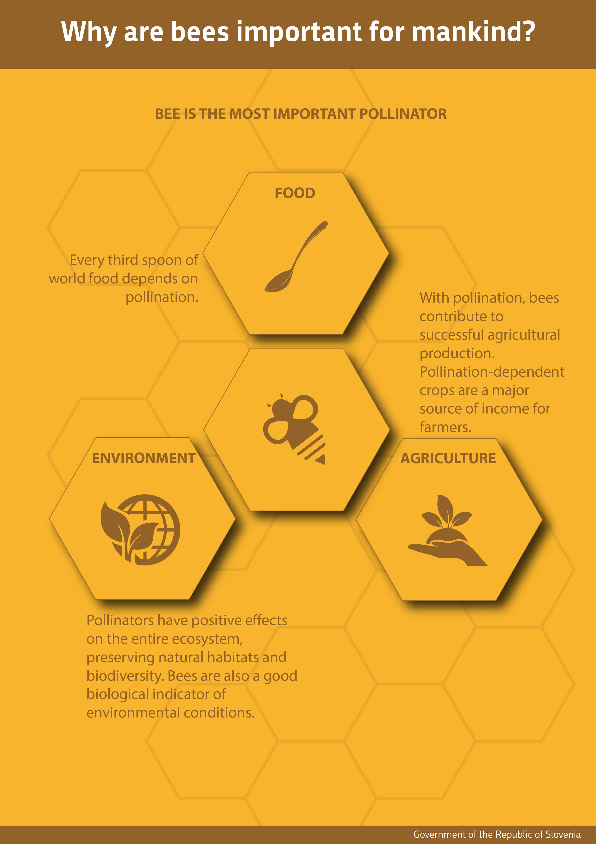 Toolkit Celebrate World Bee Day Toolkit Celebrate World Bee Day
