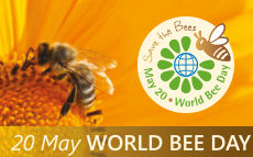 Toolkit Celebrate World Bee Day