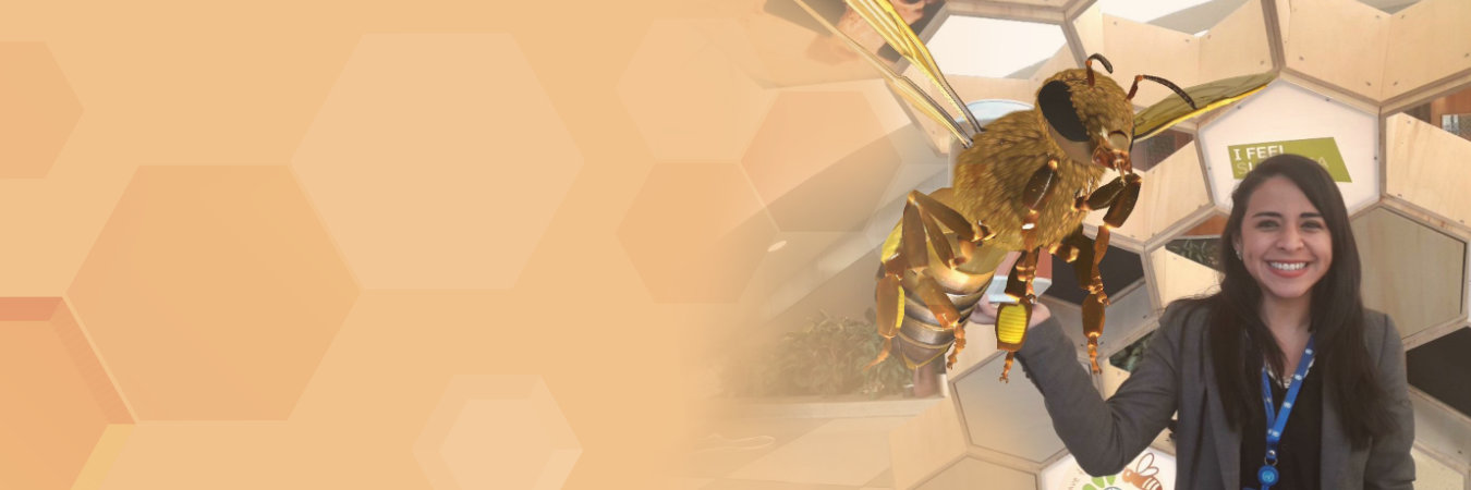 Welcome Celebrate World Bee Day Welcome Celebrate World Bee Day